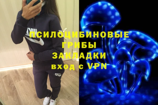 гидра Сафоново