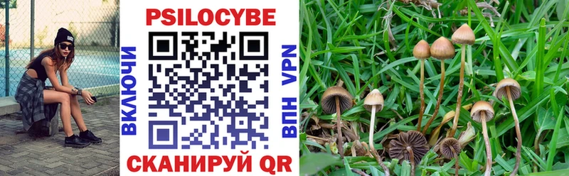 Псилоцибиновые грибы Magic Shrooms  где продают   Анадырь 